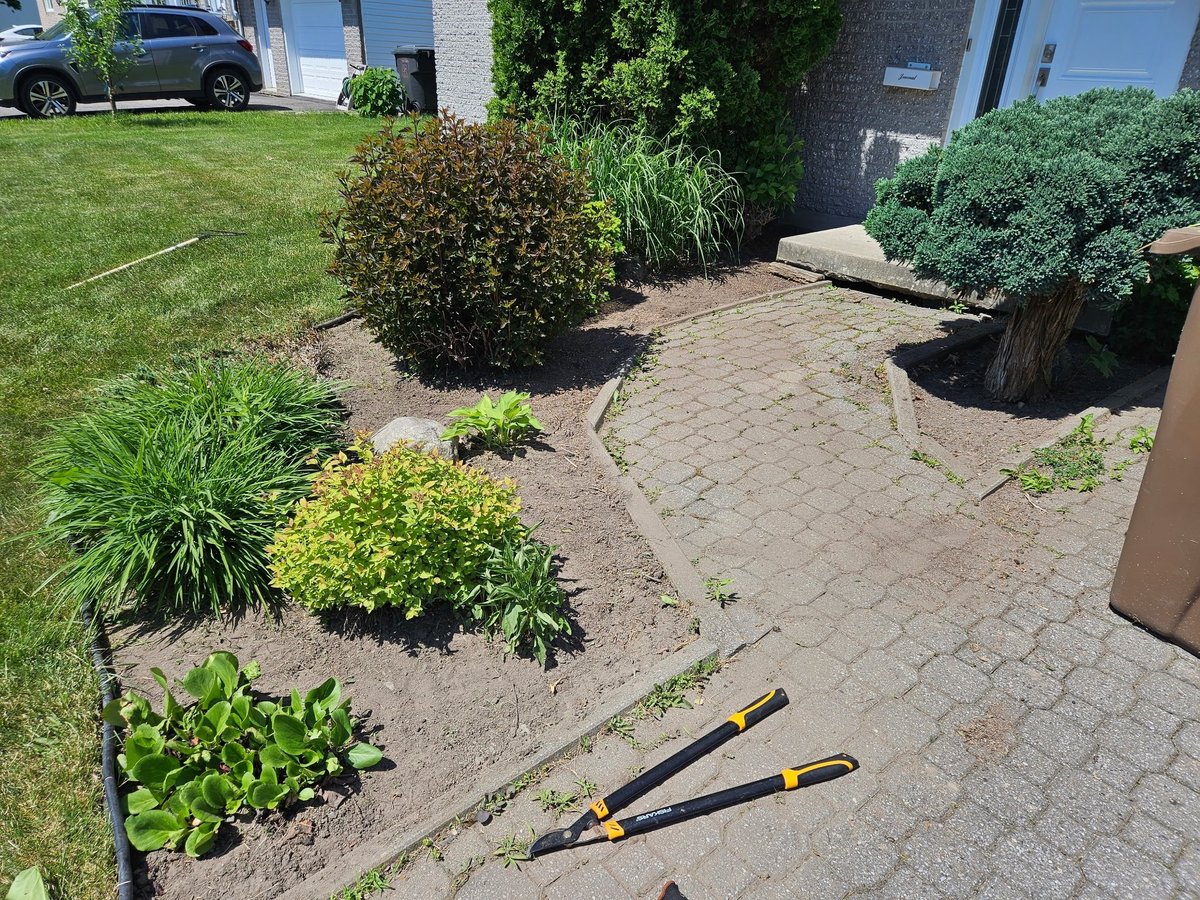 Patio en pavés — Plates-bandes